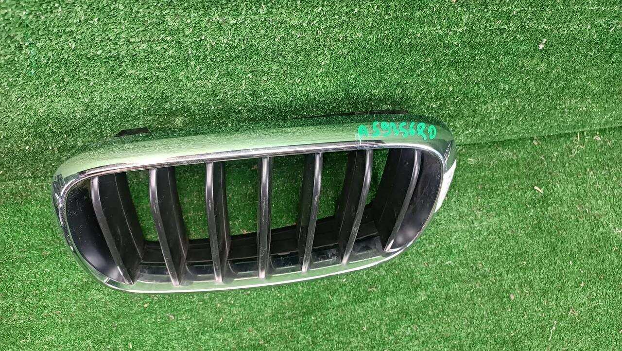 Решетка радиатора левая BMW X5 F15 (2013-2018) 51137316061 0000005935680