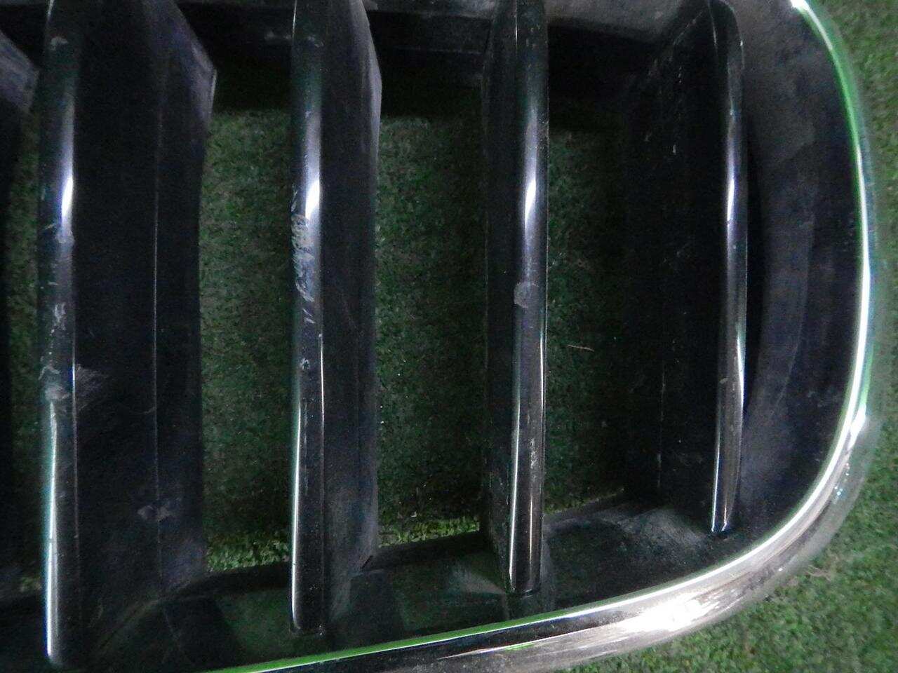 Решетка радиатора левая BMW X5 F15 (2013-2018) 51137316061 0000002356952